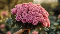 Rosen – Ein Geschenk der Ewigkeit